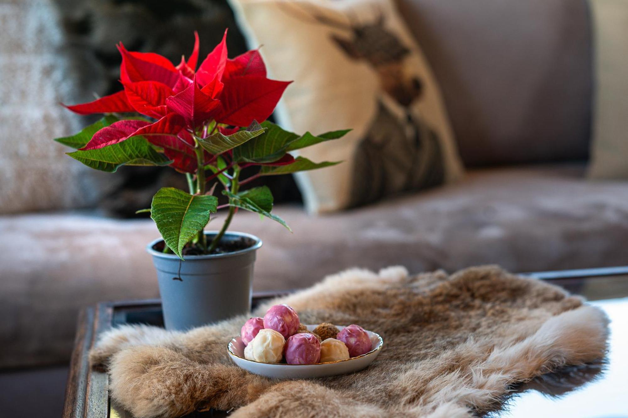 Livadi Cozy Villa 아라초바 외부 사진